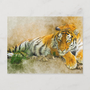 Carte Postale Peinture de tigre