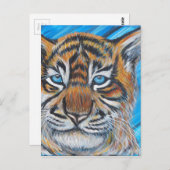 Carte Postale Peinture de tigre à oeil bleu (Devant / Derrière)