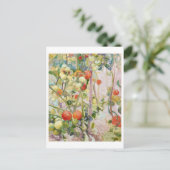 Carte Postale Peinture de tomates par Pekka Halonen (Debout devant)