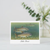 Carte postale Peinture de truite du lac (Debout devant)