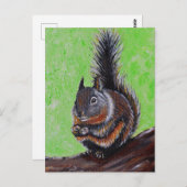 Carte Postale Peinture d'écureuil Douglas 2 (Devant / Derrière)