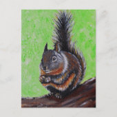 Carte Postale Peinture d'écureuil Douglas 2 (Devant)