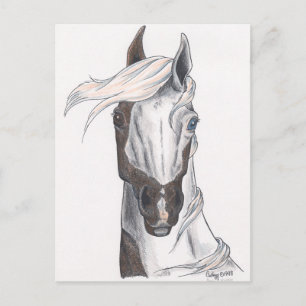 Carte Postale Peinture demi-chaume