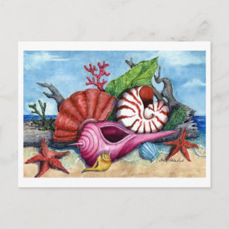 Carte postale Peinture des coquilles de plage