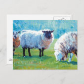 Carte Postale Peinture des moutons Lumière d'été (Devant / Derrière)