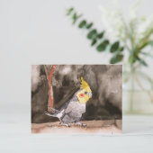 Carte Postale peinture d'oiseau (Debout devant)