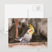 Carte Postale peinture d'oiseau (Devant / Derrière)