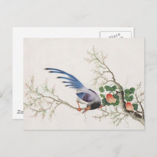 Carte Postale Peinture d'oiseaux chinois (Devant / Derrière)