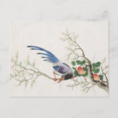 Carte Postale Peinture d'oiseaux chinois (Devant)