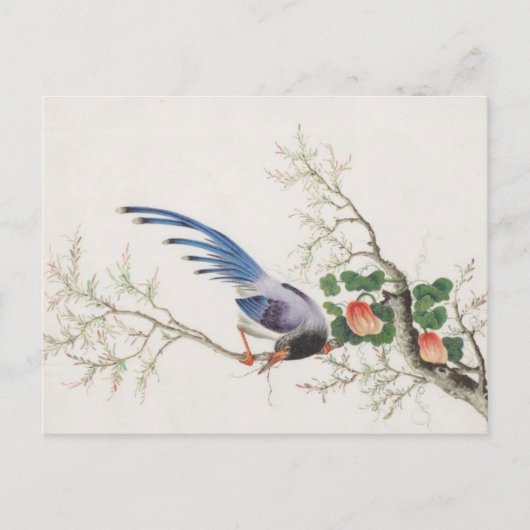 Carte Postale Peinture d'oiseaux chinois (Devant)