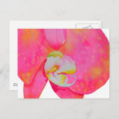 Carte Postale Peinture d'orchidée rose (Devant / Derrière)
