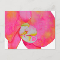 Peinture d'orchidée rose