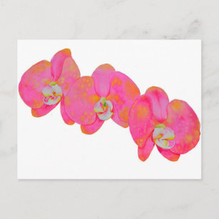 Carte Postale Peinture d'orchidée rose
