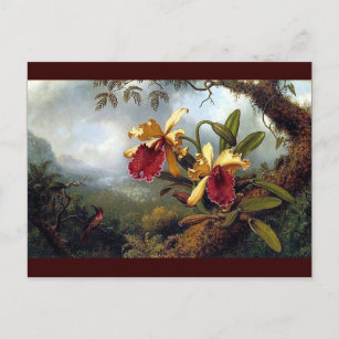 Carte Postale Peinture d'orchidées de colibris