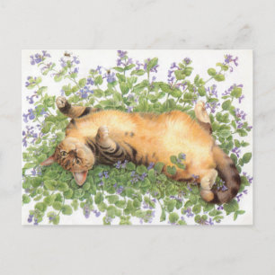 CARTE POSTALE PEINTURE EN CHAT 