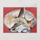 Carte Postale Peinture Fennec Fox (Devant)