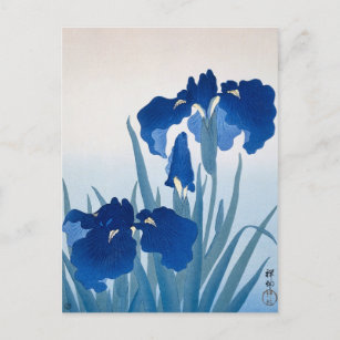 Carte Postale Peinture Iris Fleurs par Ohara Koson
