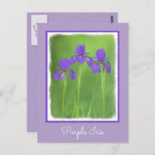 Carte Postale Peinture Iris Violet - Art Fleur Originale (Devant / Derrière)