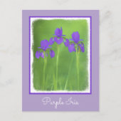 Carte Postale Peinture Iris Violet - Art Fleur Originale (Devant)
