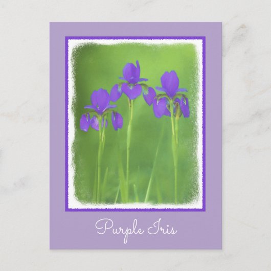 Carte Postale Peinture Iris Violet - Art Fleur Originale (Devant)