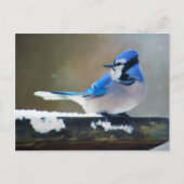 Carte Postale Peinture Jay Bleu - Art Oiseau Original (Devant)