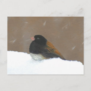 Carte Postale Peinture Junco foncée - Art original pour oiseaux