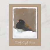 Carte Postale Peinture Junco foncée - Art original pour oiseaux (Devant)