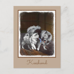 Carte Postale Peinture Keeshond Playtime - Jolie art original ch