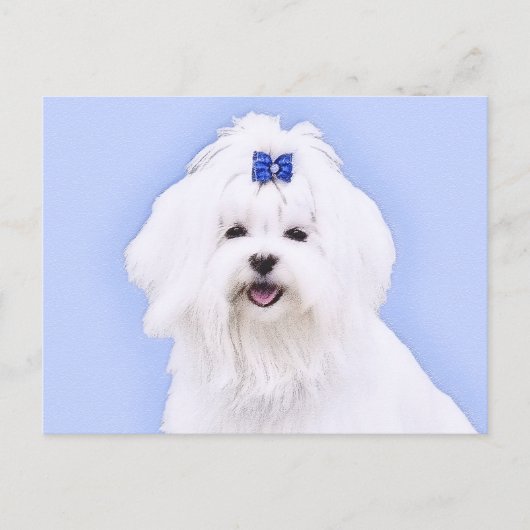 Carte Postale Peinture maltaise - Joli art original pour chien (Devant)