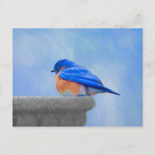 Carte Postale Peinture Merlebleu - Art Original d'Oiseau
