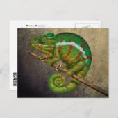 Carte Postale Peinture numérique Panther Chameleon (Devant / Derrière)