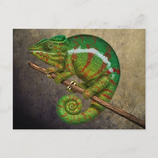 Carte Postale Peinture numérique Panther Chameleon (Devant)
