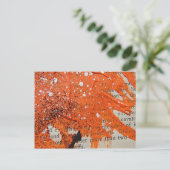 Carte Postale Peinture orange Abstraite (Debout devant)