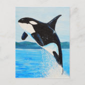 Carte Postale Peinture Orca (Devant)