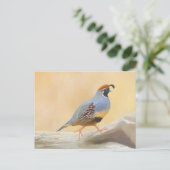 Carte Postale Peinture originale de colin de Gambrel, Art d'oise (Debout devant)