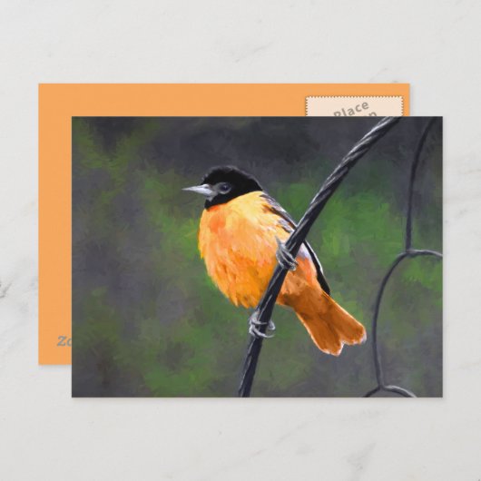 Carte Postale Peinture Oriole - Art Oiseau Original (Devant / Derrière)
