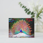 Carte Postale Peinture Peacock vintage (Debout devant)