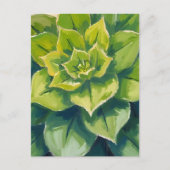 Carte Postale Peinture Plante Succulente verte (Devant)