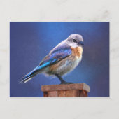 Carte Postale Peinture pour oiseaux bleus (femelle) - Art origin (Devant)