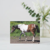 Carte Postale Peinture pure (Debout devant)