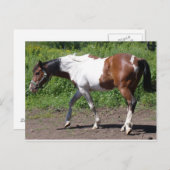 Carte Postale Peinture pure (Devant / Derrière)