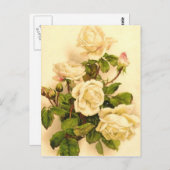 Carte Postale Peinture Rose ivoirienne victorienne (Devant / Derrière)