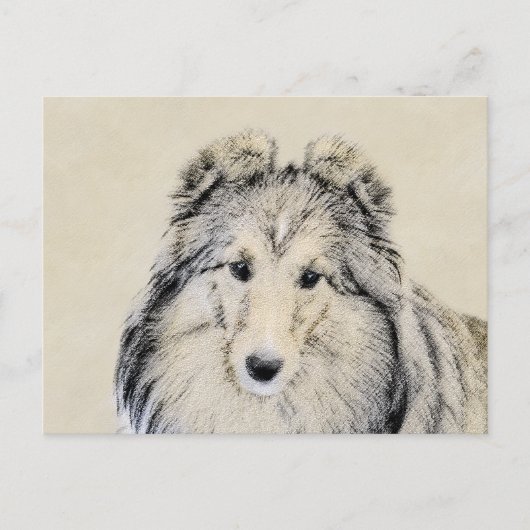 Carte Postale Peinture Shetland Sheepdog - Jolie art original ch (Devant)