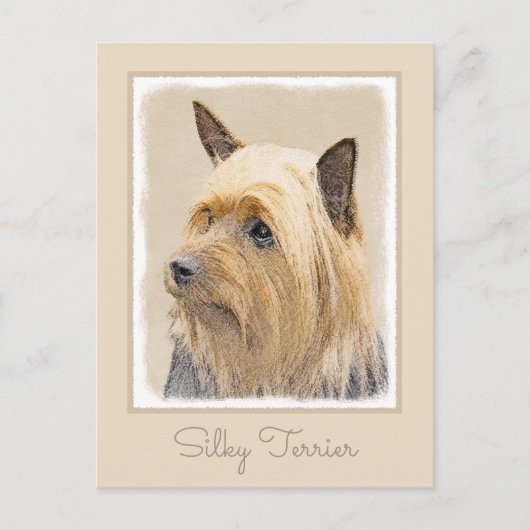 Carte Postale Peinture Silky Terrier - Cute Original Chien Art (Devant)