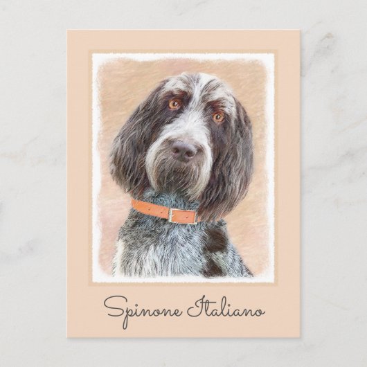 Carte Postale Peinture Spinone Italiano - Belle Art Original Chi (Devant)