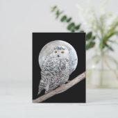 Carte Postale Peinture sur la Chouette neigeuse et la Lune - Art (Debout devant)