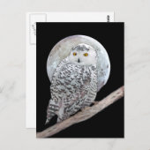 Carte Postale Peinture sur la Chouette neigeuse et la Lune - Art (Devant / Derrière)