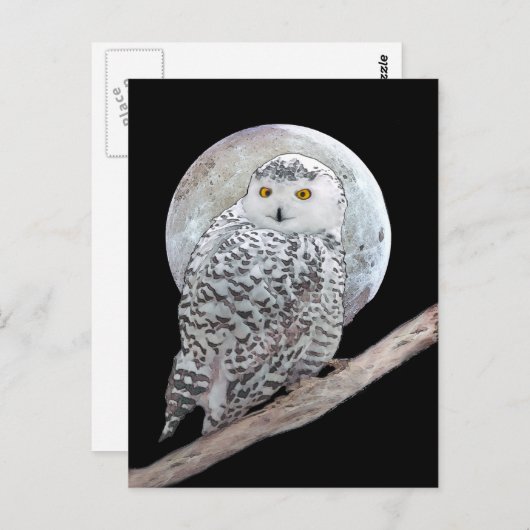 Carte Postale Peinture sur la Chouette neigeuse et la Lune - Art (Devant / Derrière)