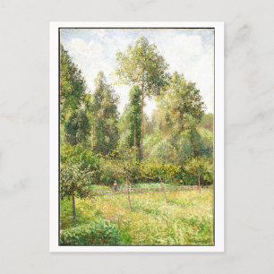 Carte Postale Peinture sur peupliers et prés par Pissarro