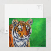 Carte Postale Peinture sur tigre (Devant / Derrière)